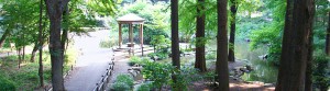 都立林試の森公園