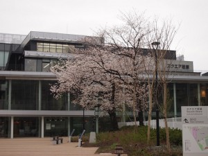 スクエア荏原（荏原平塚総合区民会館）